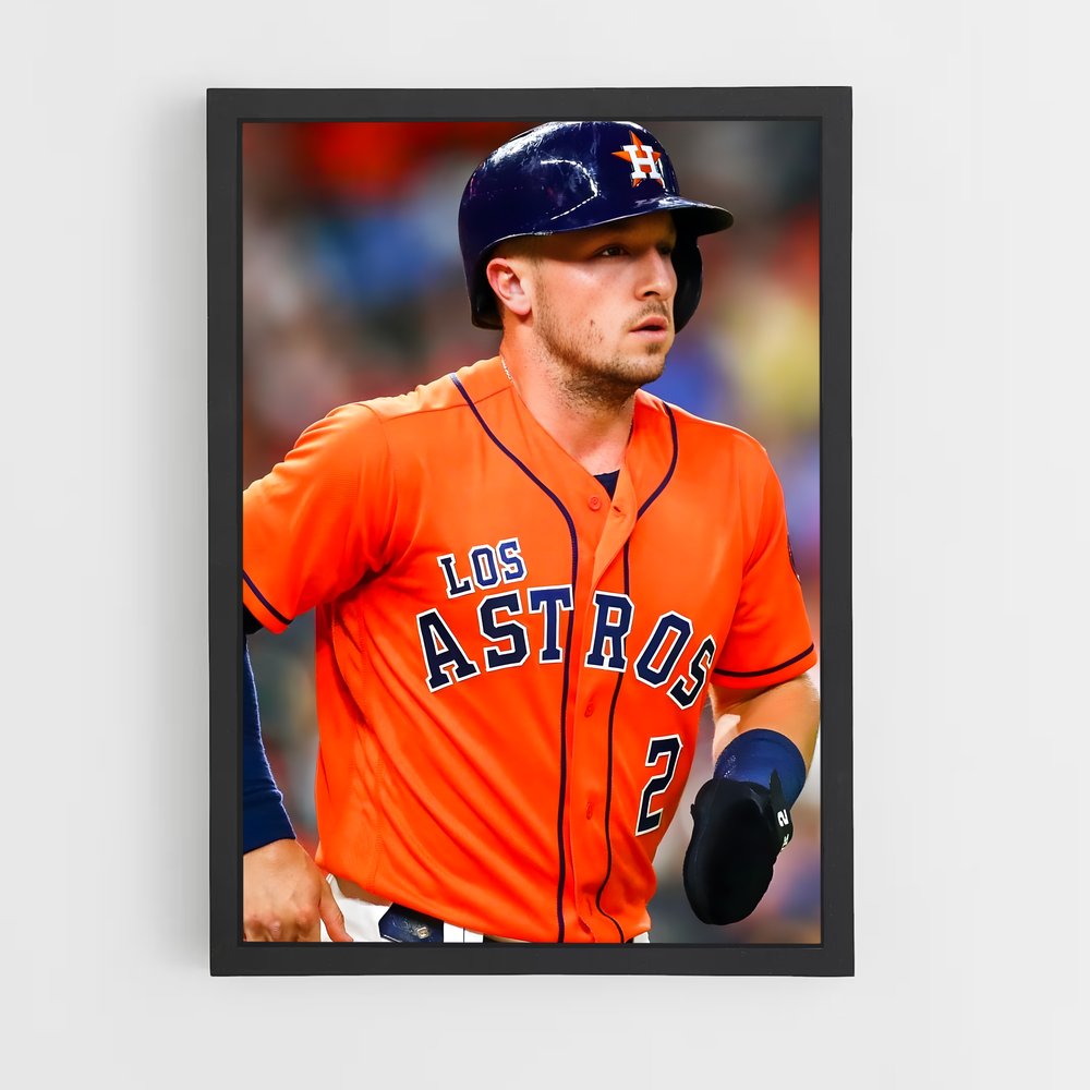 Poster Fastball Fury – affiche Baseball (vue 2)